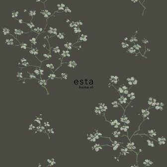 Esta Blush 148737 - Zwart Behang