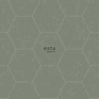 Esta Blush 148751 - Groen Behang