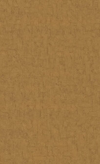 BN Van Gogh 2019 220081 Behang