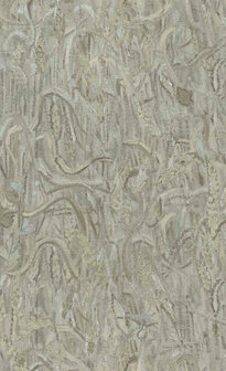 BN Van Gogh 2019 220053 - Grijs Behang