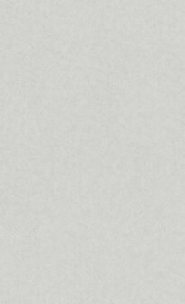 BN Wallcoverings Texture Stories / Milano Licht Grijs 49352 - Grijs Behang