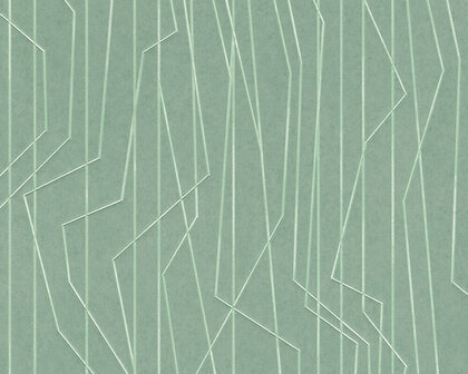 AS Creation Emotion Graphic 36878-5 - Groen Behang