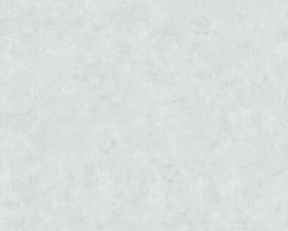 AS Creation Beton Behang 36313-5 / 363135 - Grijs Behang