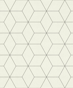 Rasch Selection Collectie 624304 Hexagone Behang