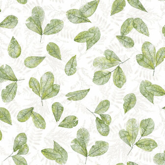 Noordwand Evergreen 7305 Behang