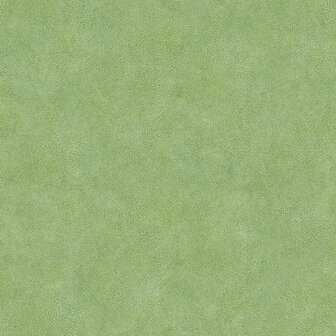 Noordwand Evergreen 7333 Behang