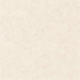 Caselio Beton BET101480010 - Wit Behang