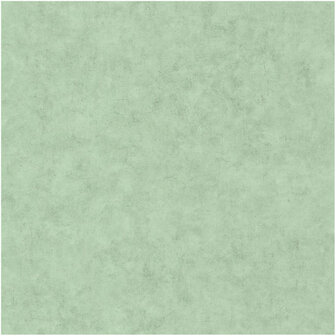 Caselio Beton BET101487516 - Groen Behang