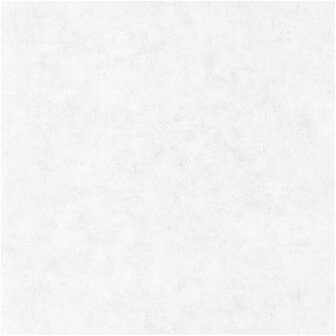 Caselio Beton BET101489000 - Grijs Behang