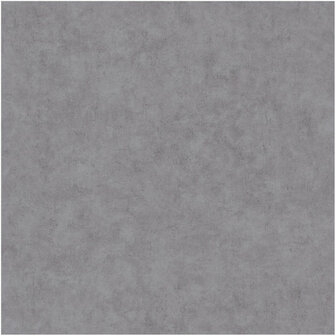 Caselio Beton BET101489260 - Grijs Behang
