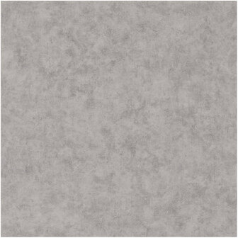 Caselio Beton BET101489550 - Grijs Behang