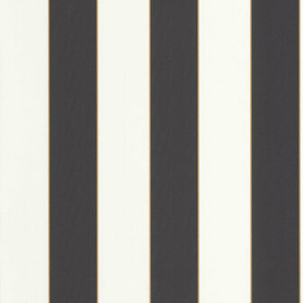 Caselio Moonlight MLG101072092 - Zwart / Wit Behang