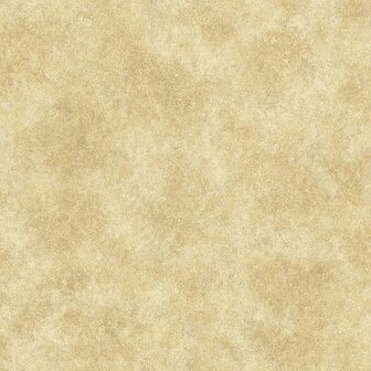 Noordwand Special FX G67693 Behang