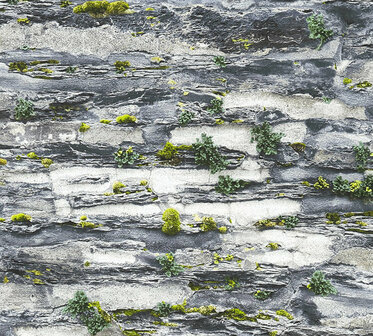 AS Creation Il Decoro 36492-1 | 364921 - Grijs / Zwart Behang