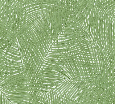 AS Creation Sumatra 37371-5 | 373715 - Groen / Wit Behang