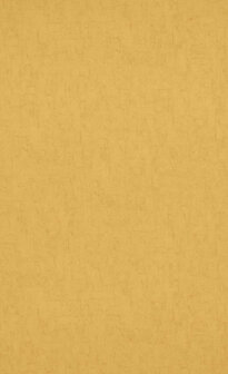 BN Van Gogh Behang 17132 Behang