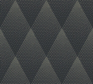 AS Creation New Walls 37419-3 | 374193 - Zwart / Goud Behang