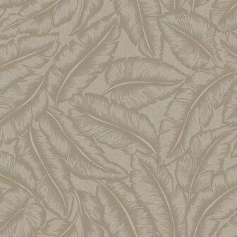 Dutch First Class Bakau Taupe 65731 Behang