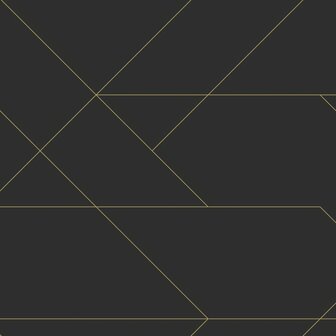 Esta Home Black &amp; White 139144 - Zwart - Goud Behang