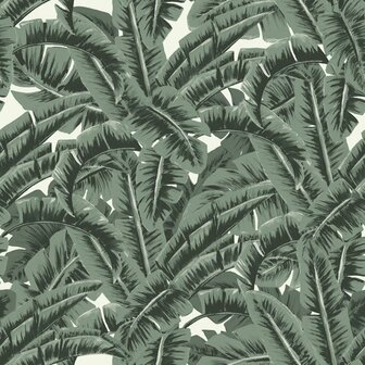 Esta Paradise 139156 - Groen Behang