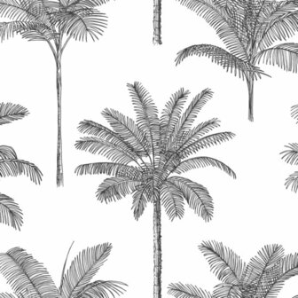 Esta Paradise 139162 - Zwart - Wit Behang