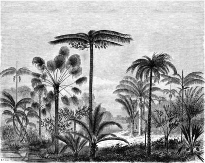 Esta Paradise 158952 - Zwart Wit Behang