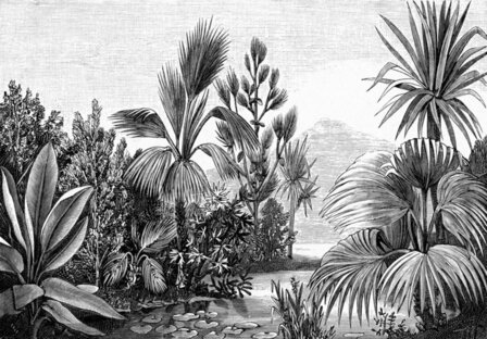 Esta Paradise 158953 - Zwart Wit Behang