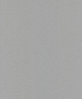 Dutch Wallcoverings Asperia JF1216 zilver Behang