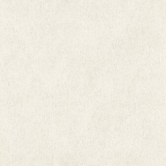 Rasch African Queen 3 - 423204 Creme Behang
