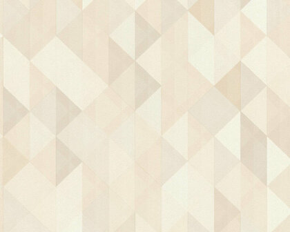 AS Creation Trendwall | 36786-1 - 367861 - Beige / Bruin Behang