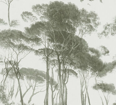 AS Creation History of Art 37651-2 - 376512 - Groen / Wit Behang