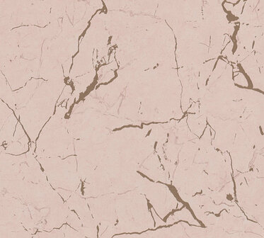 AS Creation Metropolitan Stories II Alena / St. Petersburg 37855-4 - 378554 - Roze / Beige Behang
