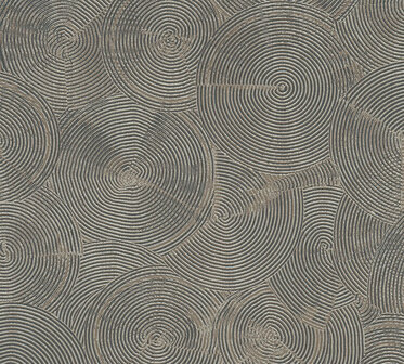 AS Creation Metropolitan Stories II Nala / Cape Town 37900-4 - 379004 - Grijs / Goud Behang