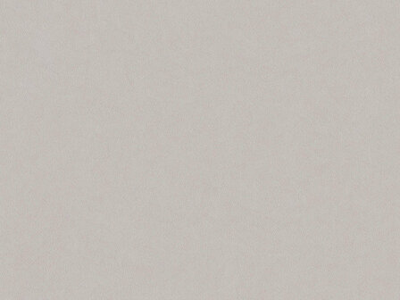 BN Wallcoverings Texture Stories taupe 49356 Behang