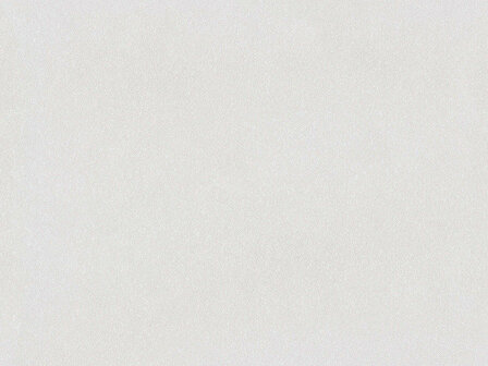 BN Wallcoverings Texture Stories Wit 49373 - Wit Behang