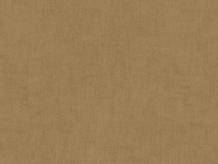 BN Wallcoverings Color Stories Bruin 220860 - Bruin Behang