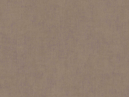 BN Wallcoverings Color Stories Bruin 220867 - Bruin Behang