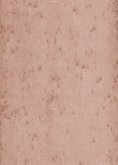 Arte LUSH STELLAR 37503A Behang