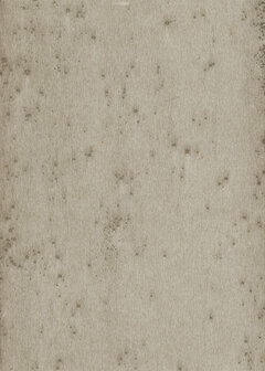 Arte LUSH STELLAR 37508A Behang