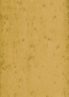 Arte LUSH STELLAR 37519A Behang