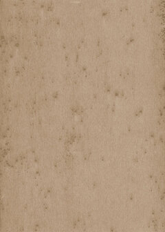 Arte LUSH STELLAR 37522A Behang