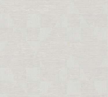 AS Creation Titanium 3 38196-6 - 381966 - Wit / Grijs Behang