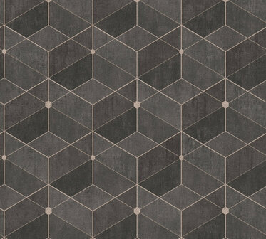 AS Creation Titanium 3 38202-4 - 382024 - Zwart / Goud Behang