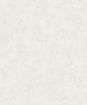 HookedOnWalls Affinity AF24500 Behang