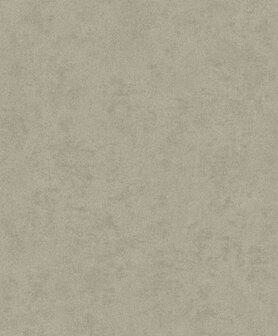 HookedOnWalls Affinity AF24504 Behang