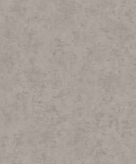HookedOnWalls Affinity AF24506 Behang