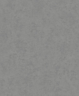 HookedOnWalls Affinity AF24508 Behang