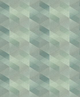 HookedOnWalls Affinity AF24580 Behang