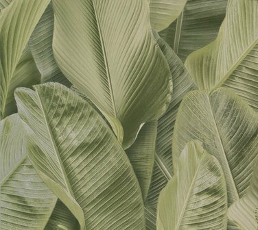 Montecolino Folium FO17803 Green Banana Leaves Behang