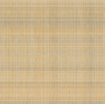 BN Wallcoverings Preloved 220931 Geel Behang